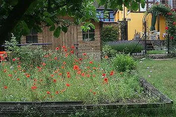 Hotel Chambres D'hotes La Maison Bleue